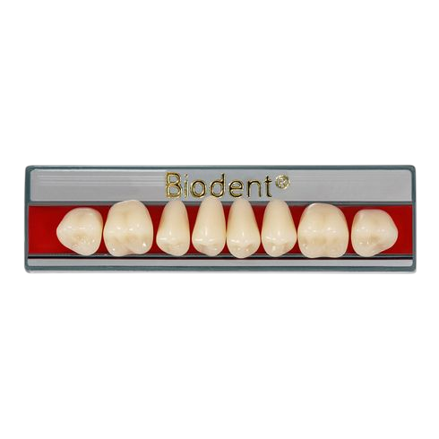 DIENTES SUPER C POSTERIOR SUPERIOR