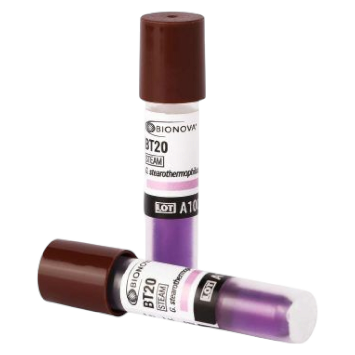 INDICADORES BIOLOGICOS MASTER X CAJA